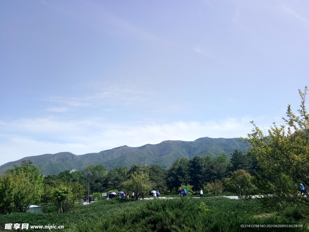 清新自然风景