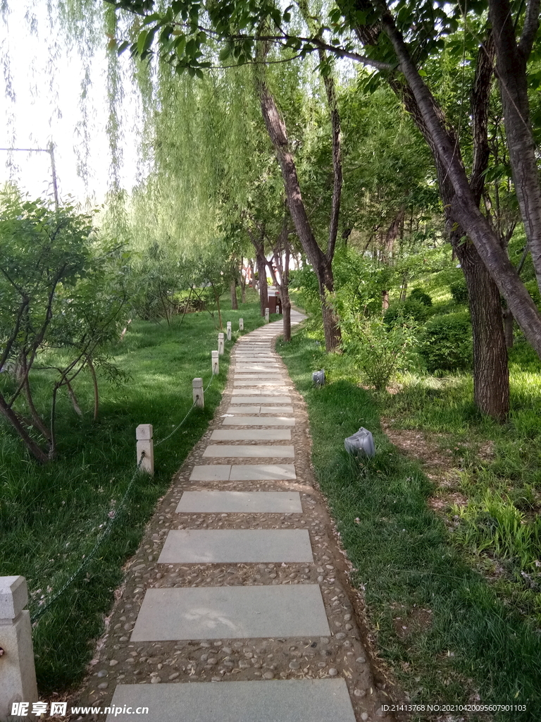 清新自然风景