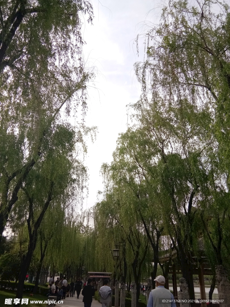 清新自然风景