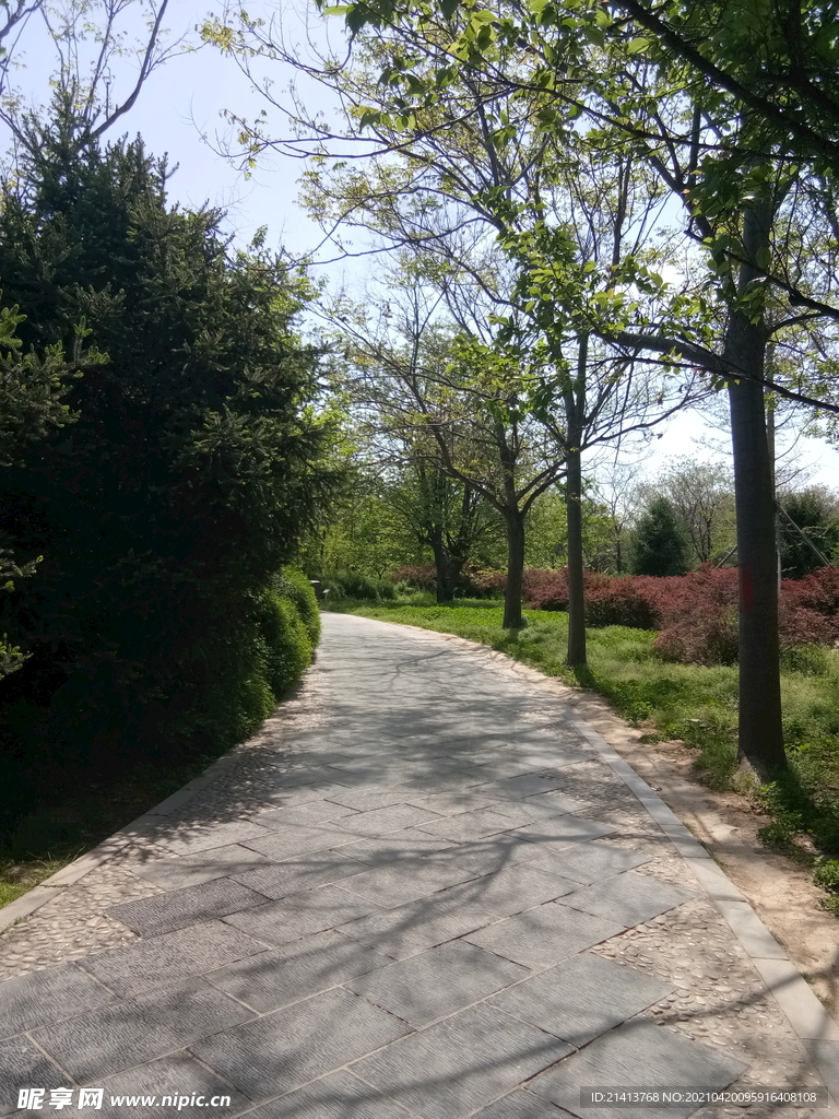 清新自然风景