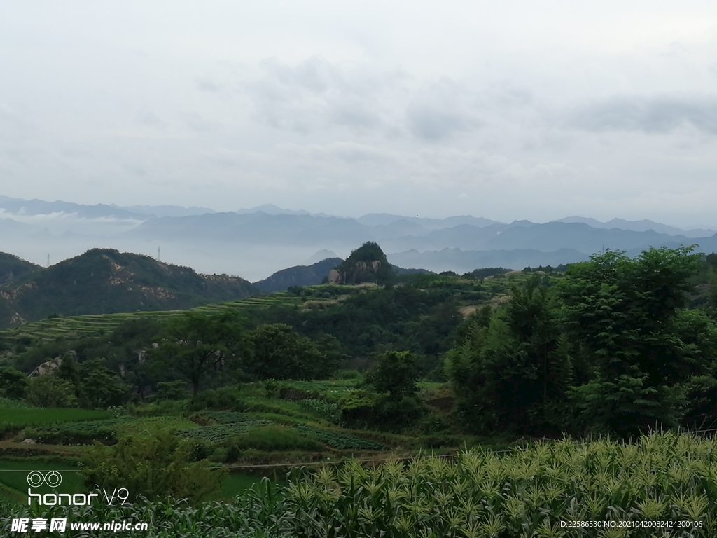 田园风光