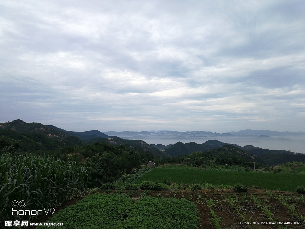 田园风光