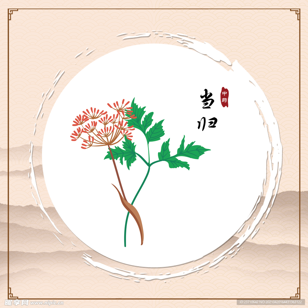 当归