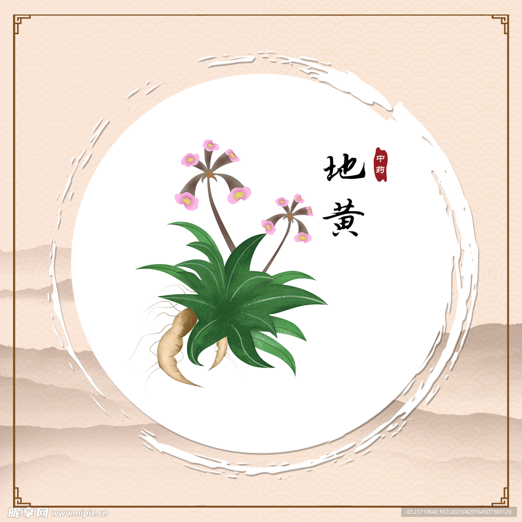 地黄