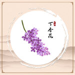 丁香花
