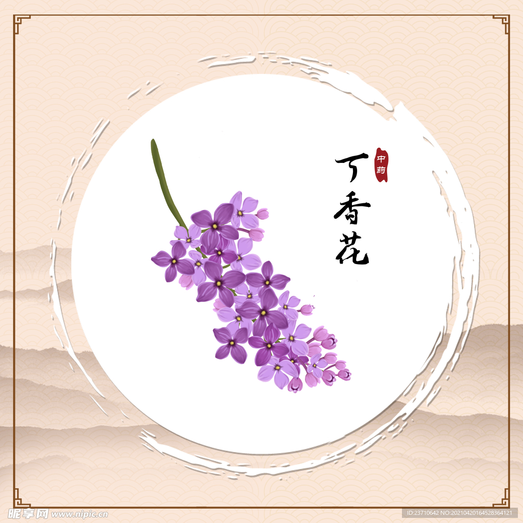 丁香花