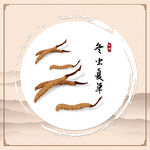 冬虫夏草