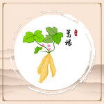 葛根