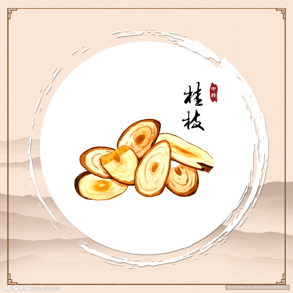 桂枝