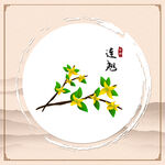 连翘