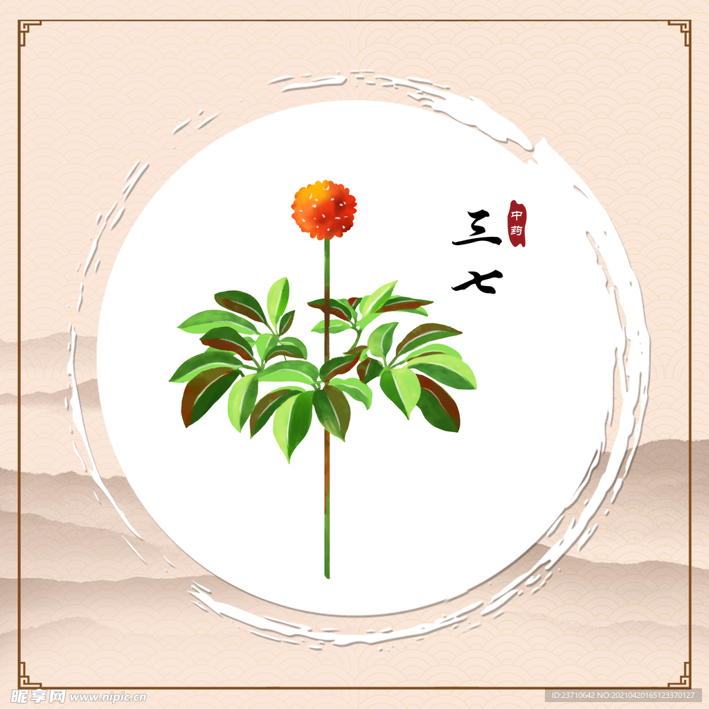 三七