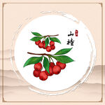 山楂