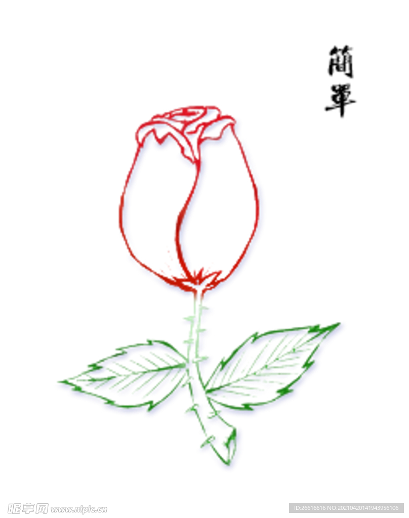 玫瑰花