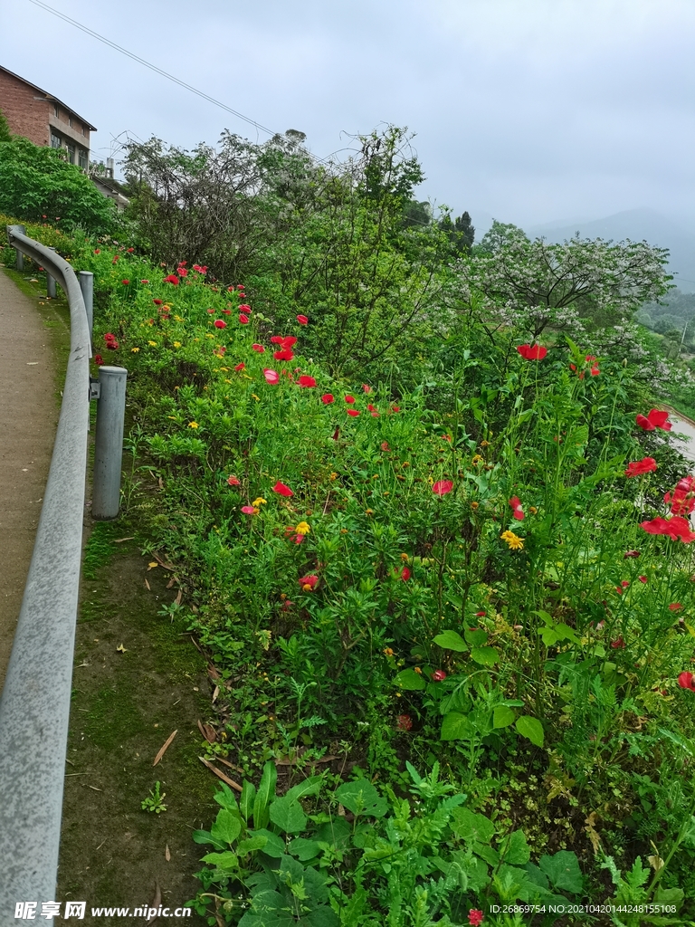 公路绿化带