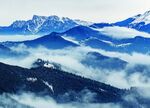 山