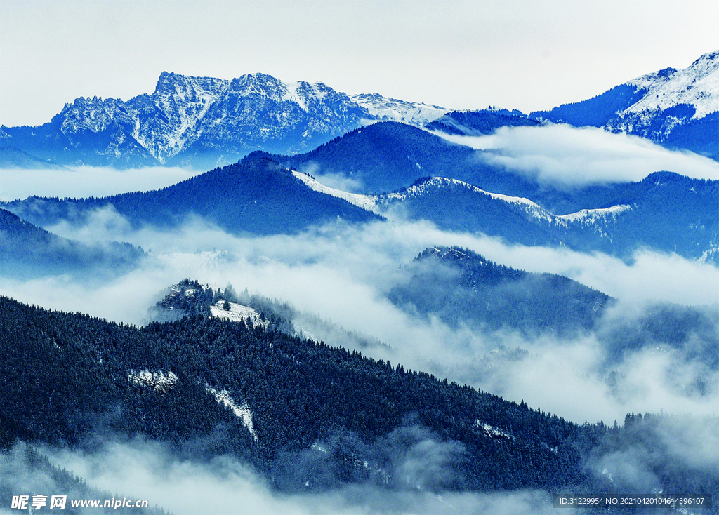 山