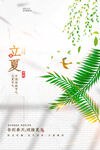 立夏