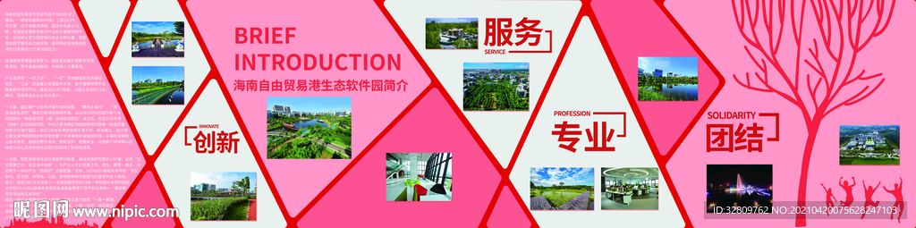 公司历程