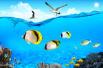 海底海洋风景海里动物PSD分层