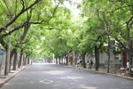 北京老城区街道