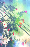 花 
