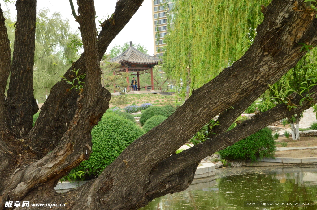 园林风景
