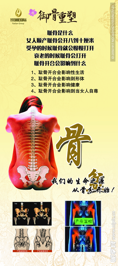 骨盆