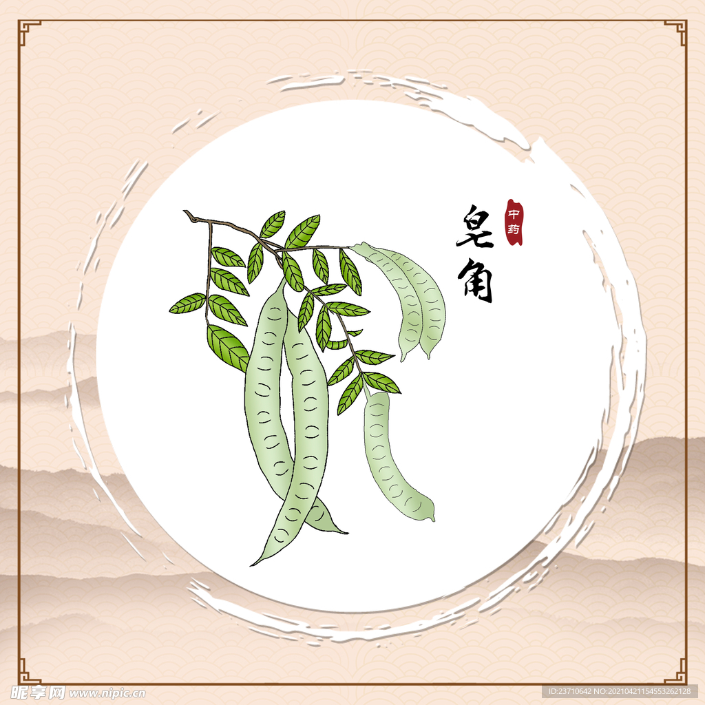皂角