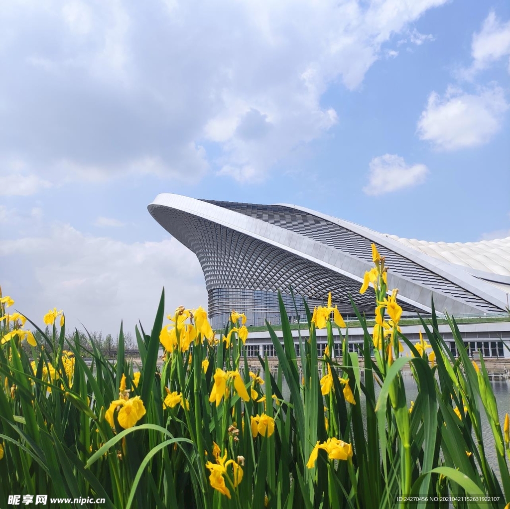 风景