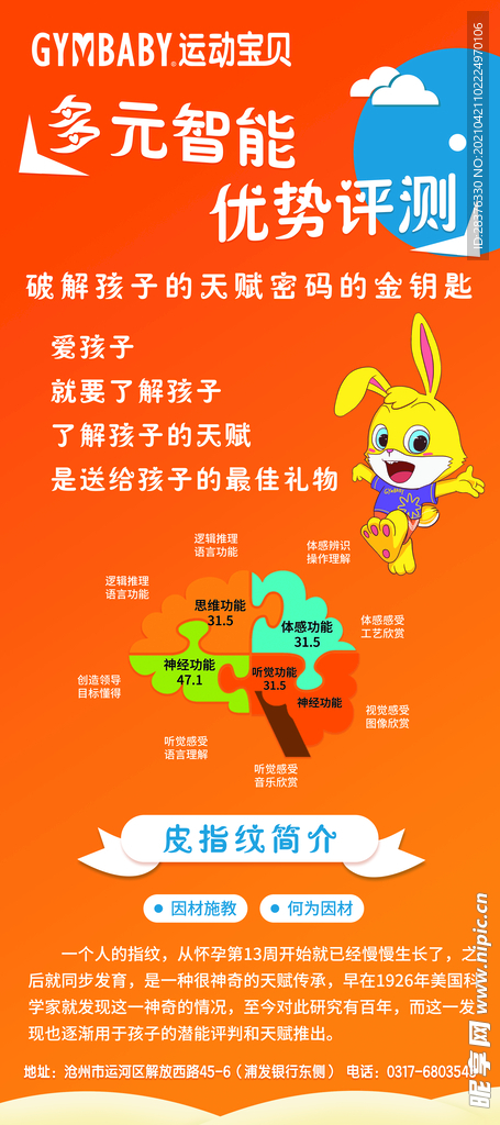 运动宝贝展架