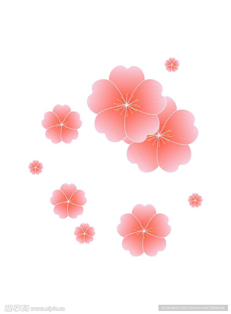 樱花