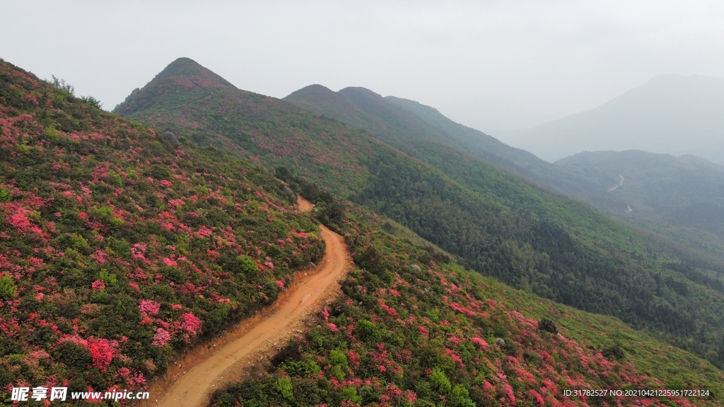 玉华山