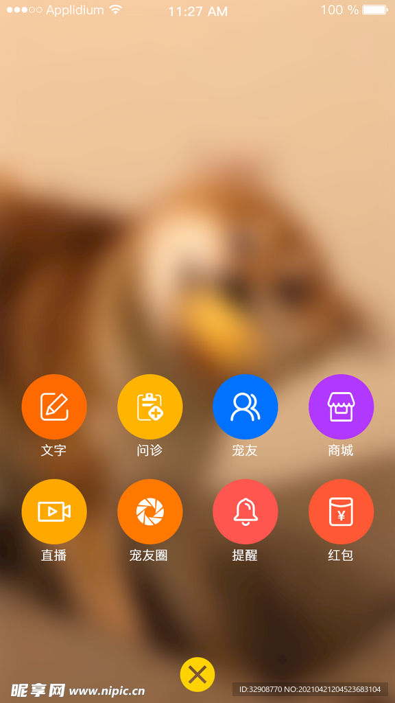 爱宠app桌面页
