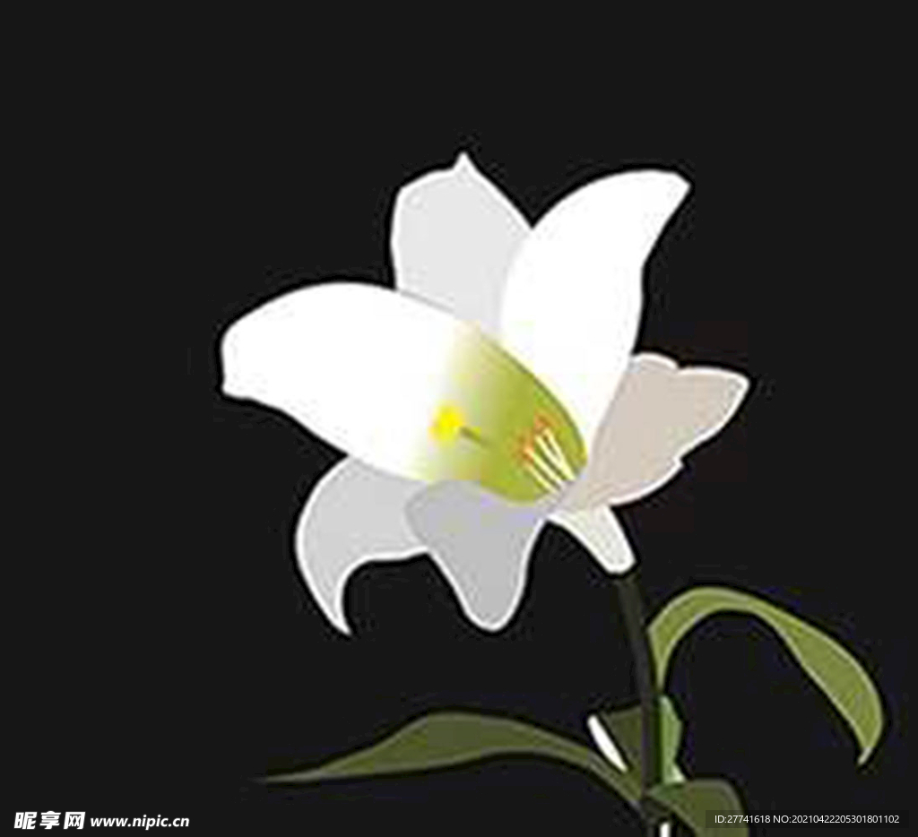 百合