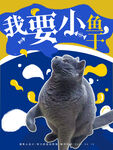 猫咪明信片