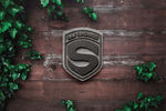 logo样机