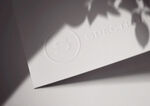 logo样机