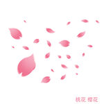 飘落樱花桃花装饰花瓣漂浮