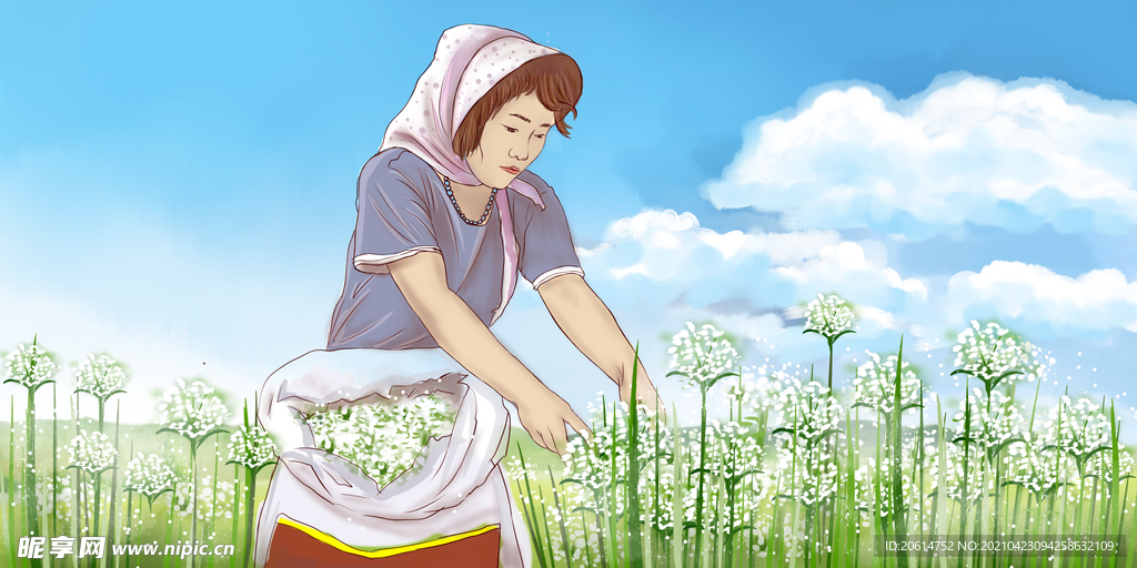 摘棉花的女工人