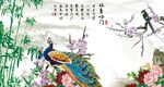 孔雀图