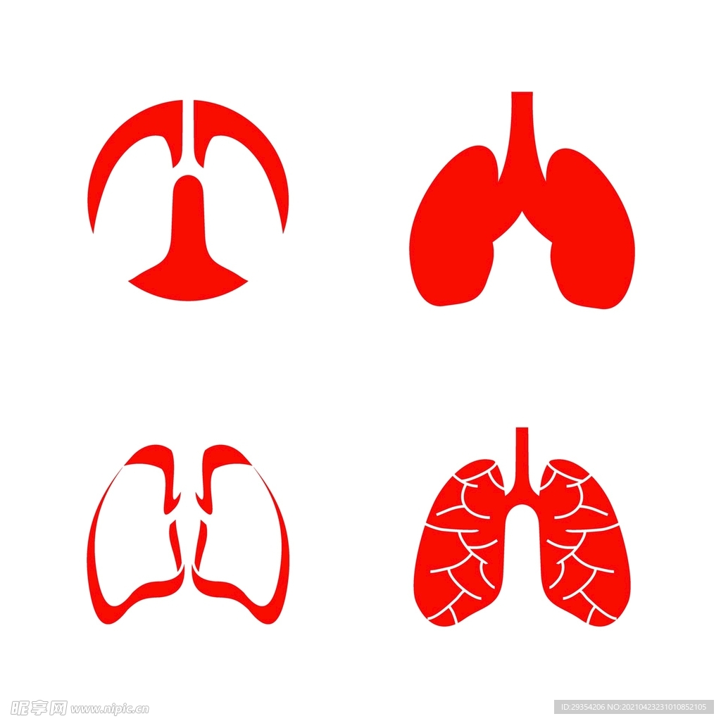 肺图标图片