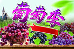 葡萄季