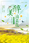 油菜花海报