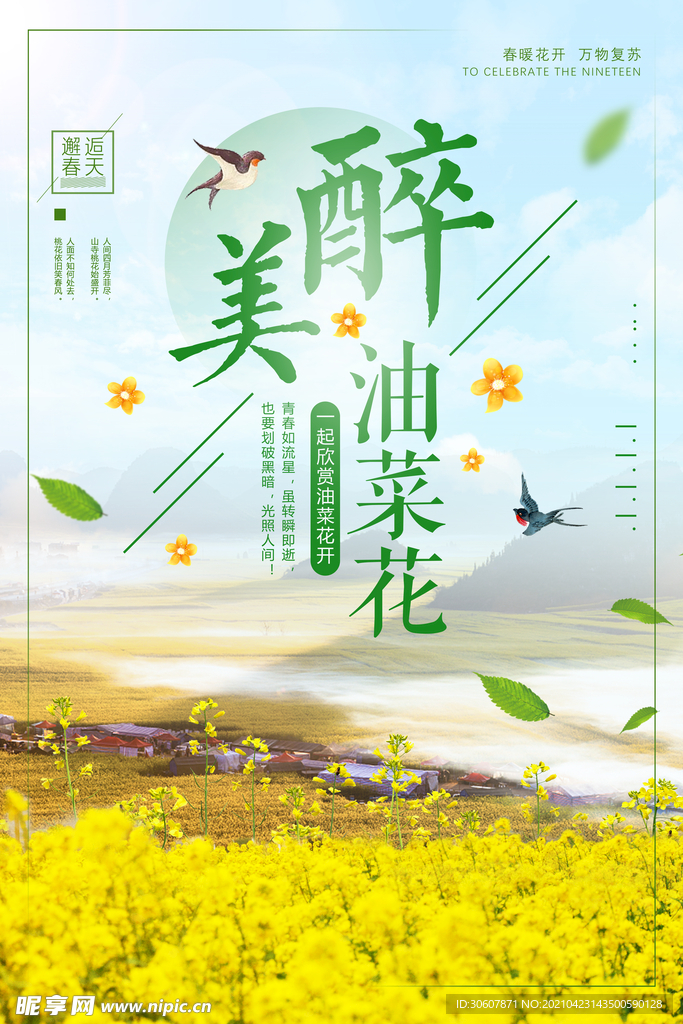 油菜花海报