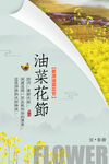 油菜花海报
