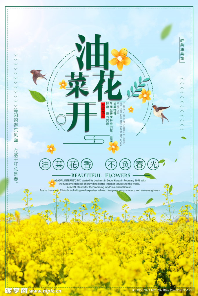 油菜花海报