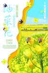 油菜花海报
