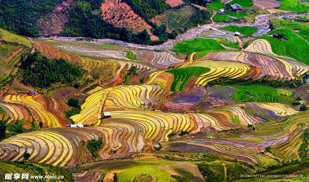 田园梯田