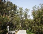 公园
