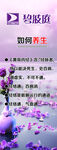 碧波庭如何养生